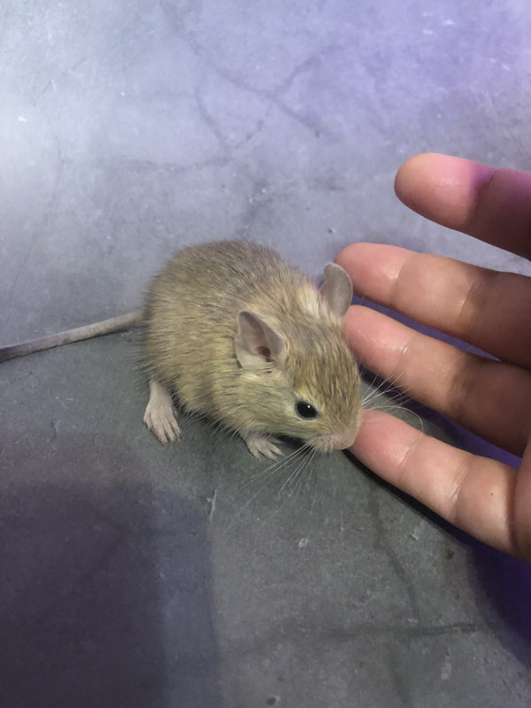 8DE0FE8E-7685-4A6F-B8FF-0E5C93AACE61