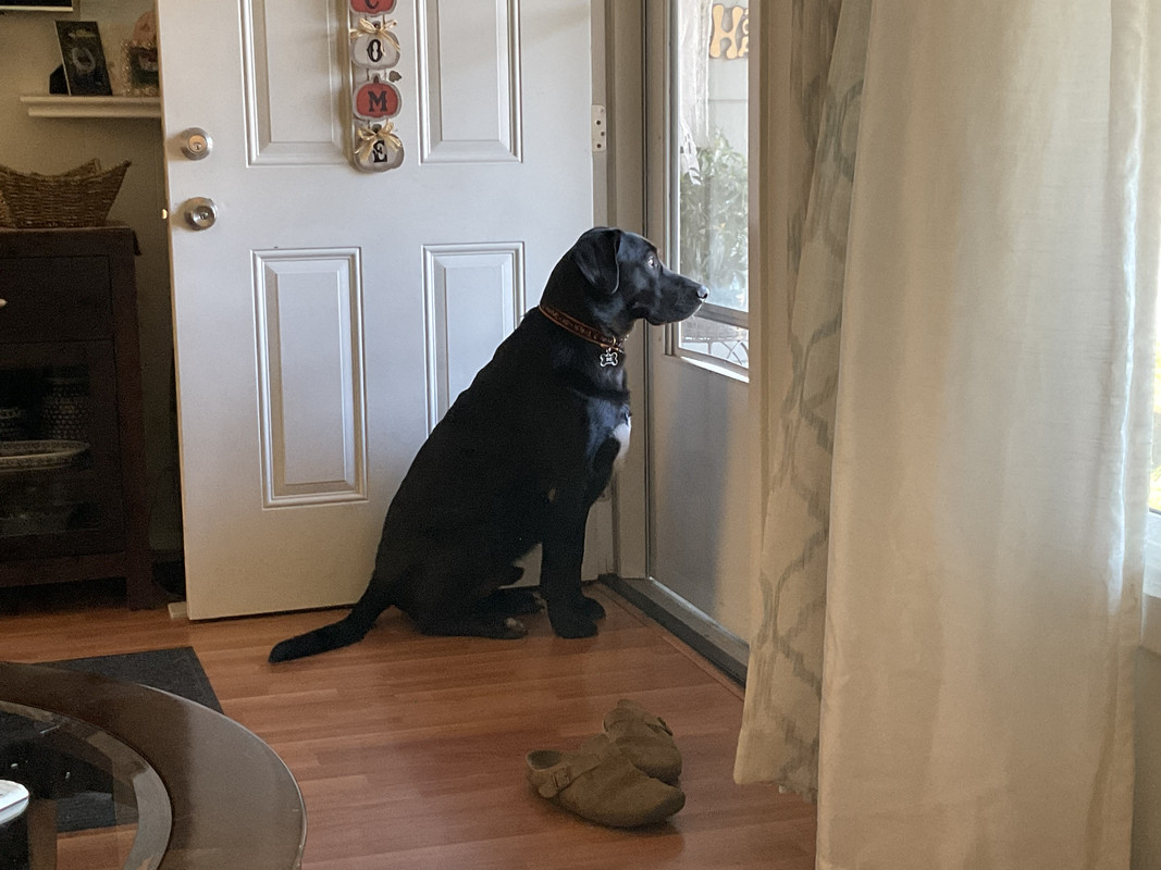 1FDE35B7-29CF-4F05-8785-70D9EC2B708D