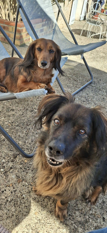 [Image: 20250411-165459.jpg]