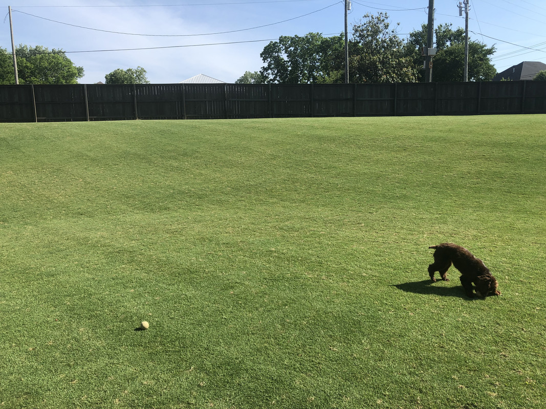 8189E0AD-62A0-40A1-8224-99C4D52CFCBE