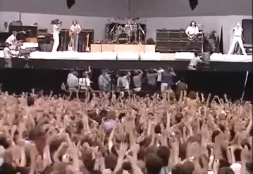 IMG-0081.gif