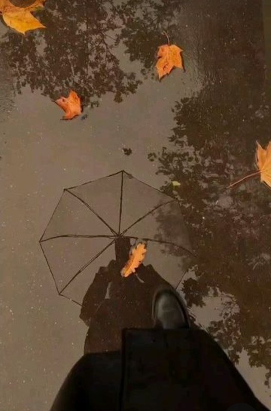 Screenshot_20231128_175916_Pinterest