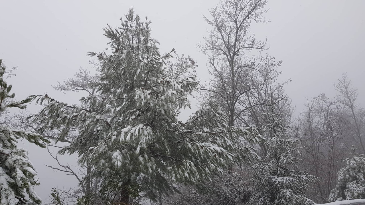 troodos1