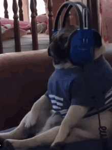 pug-music.gif