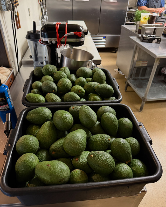 AD7783DB-5DC9-441E-8C51-D458033FC19C