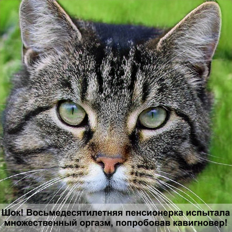 акана для стерилизованных кошек