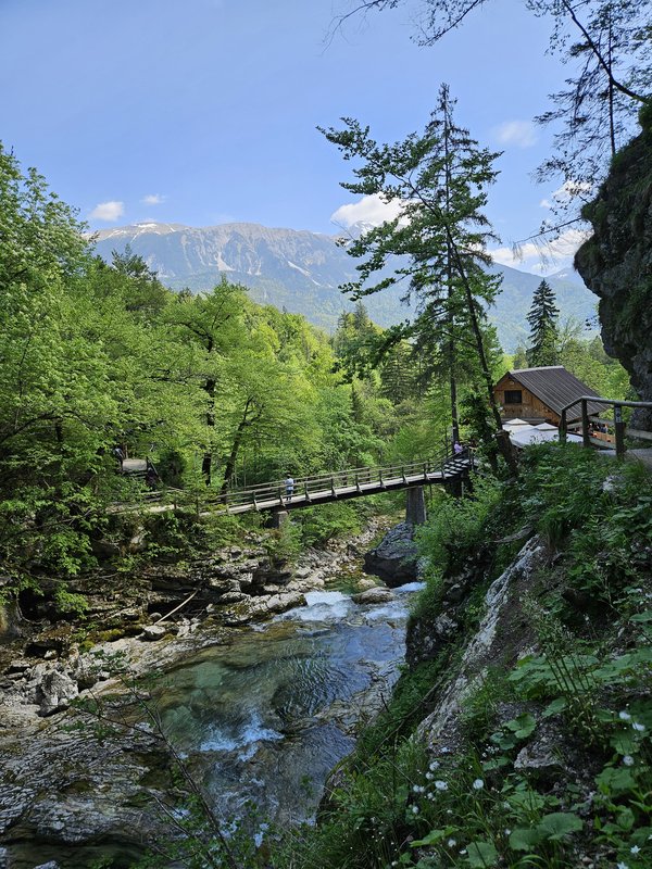 Slika