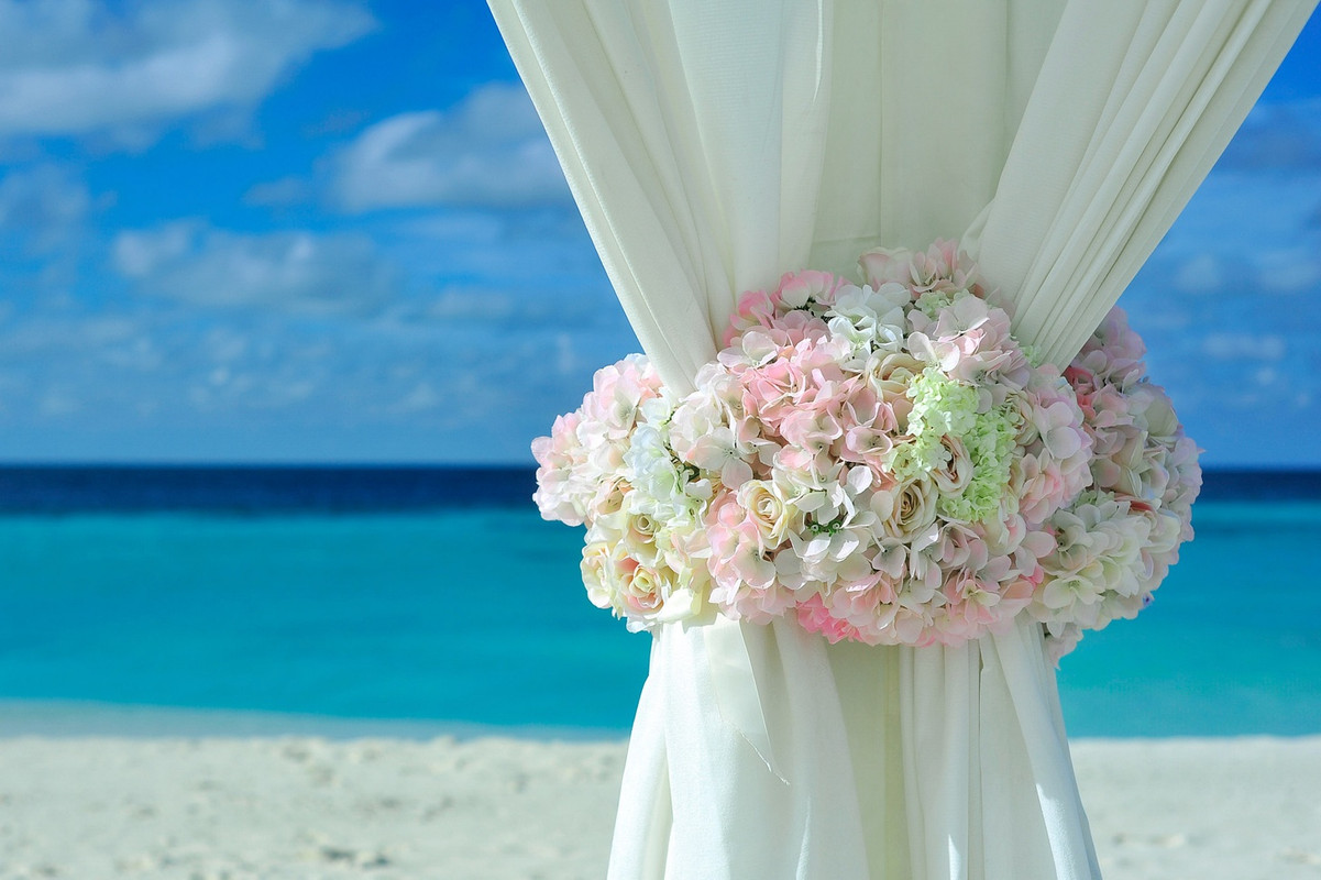 flowersondrapesbeach.jpg