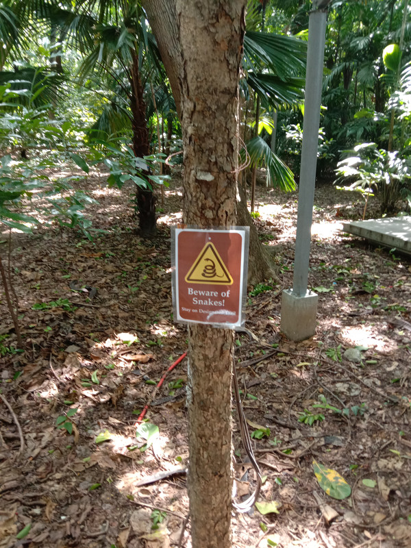Arroceros Forest Park Manila Bagras20260715 141813