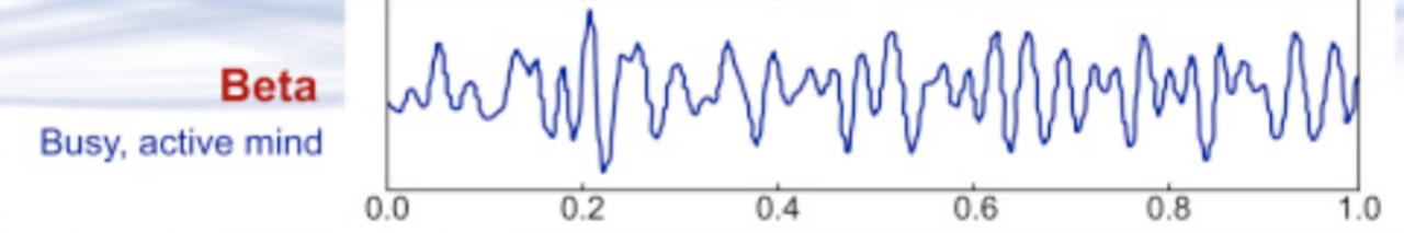 beta waves