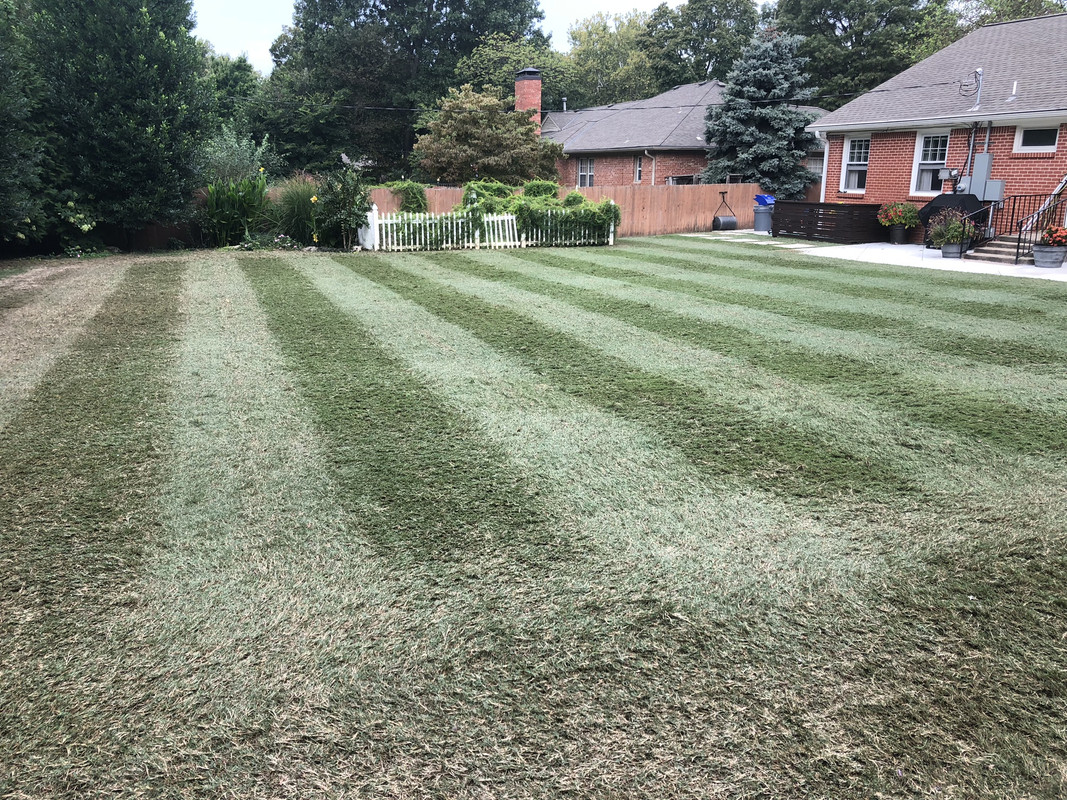 994D31F1-5BE5-4F6E-B01D-C498E10BD1F4