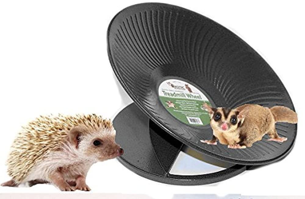 The Best Exercise Wheels for Hedgehogs Small Pet Guru