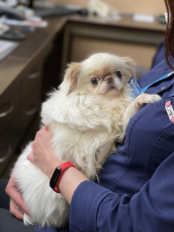 1648FBA6-01F0-40A4-9E46-E2F5EBF7C26D