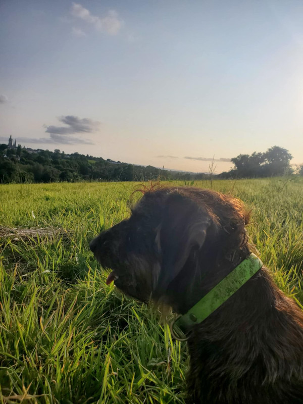 [Image: IMG-20241129-175452.jpg]