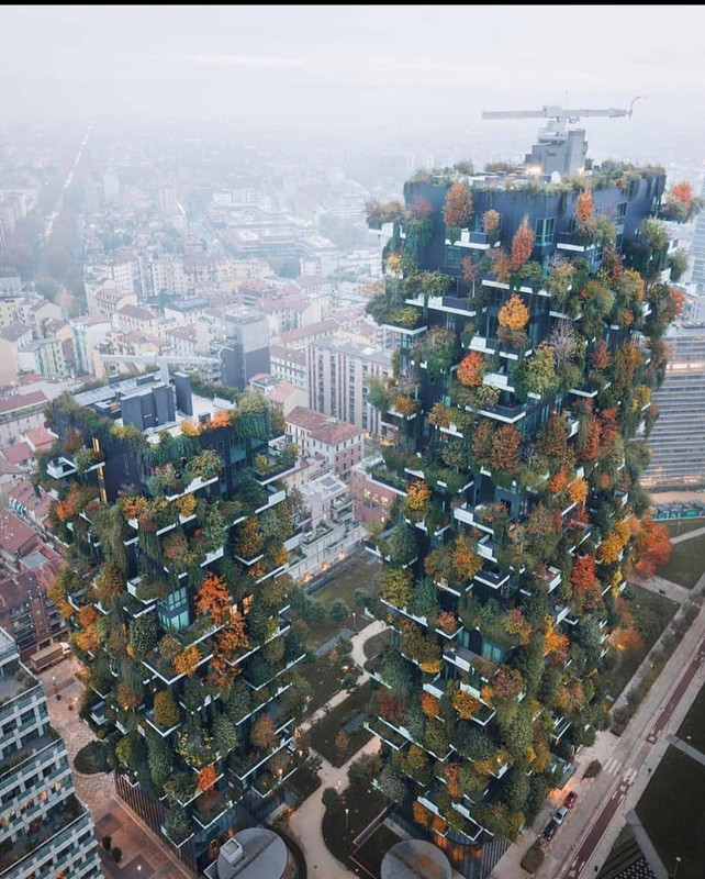 Screenshot_20231207_154809_Instagram