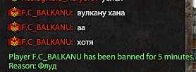 Maf-to-Translate-8.jpg