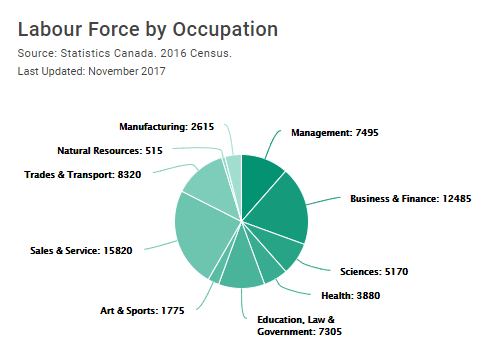 Occupation