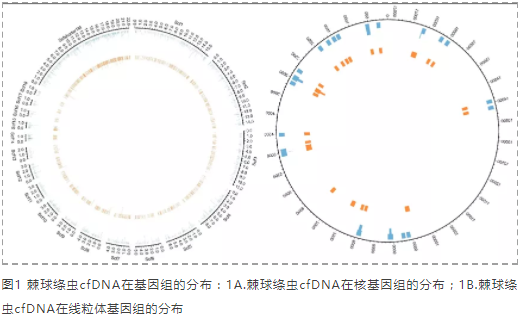 药物治疗前后包虫病患者血浆中棘球绦虫游离DNA多项特征发生明显变化-2.png