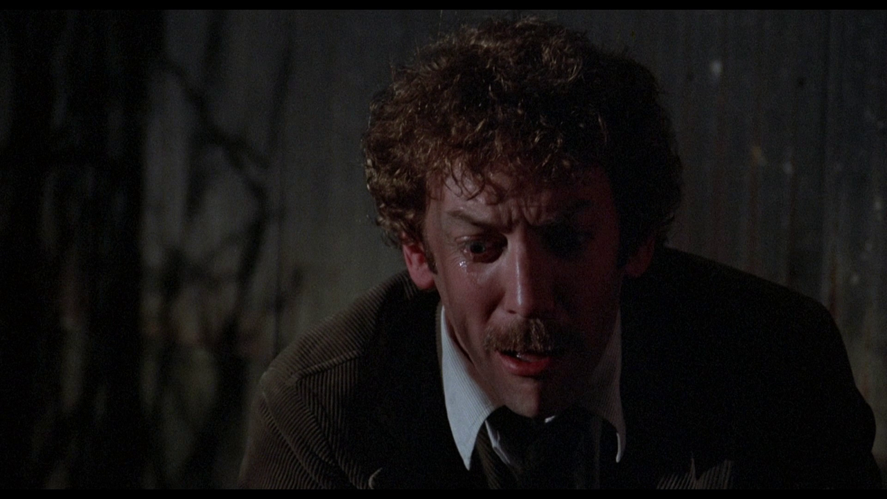 vlcsnap-2022-05-24-15h30m36s177