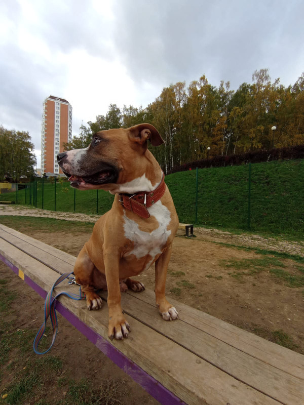 AE16E781-ACCE-4825-A9FA-D89E5EC24A06