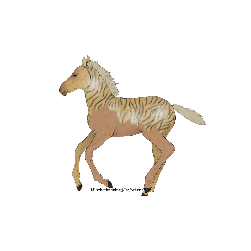 Untitled88-20250615172232.png