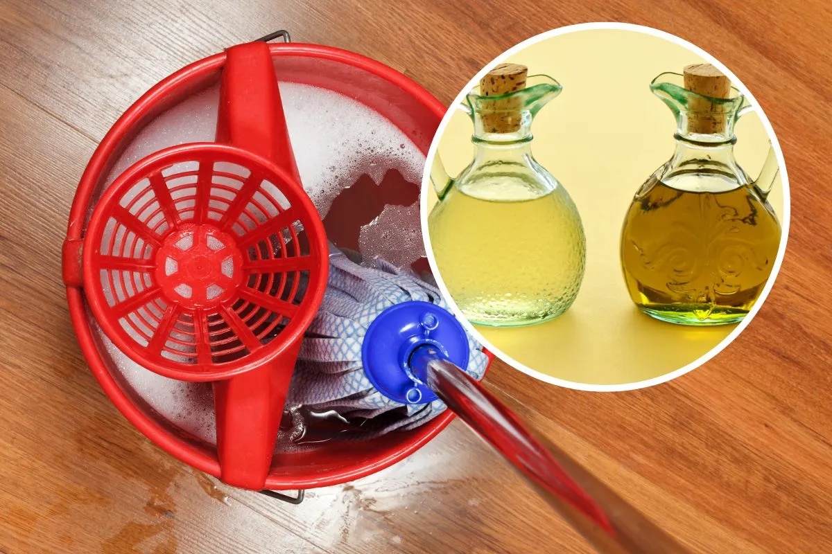 Vinagre blanco o de manzana: ¿Cuál es más efectivo para la limpieza de pisos?