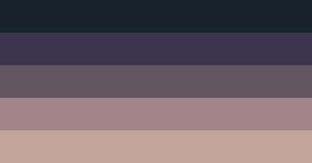 spaceflag