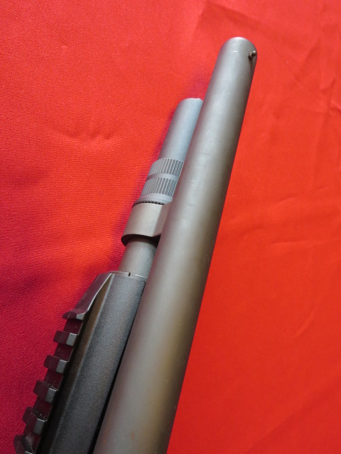 Waff-ank-Clearwater-014