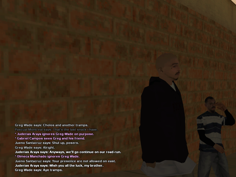 SSRoleplay502.png