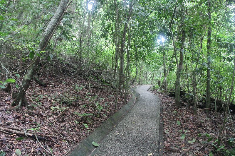 DE TORTUGAS Y PEREZOSOS. COSTA RICA 2019 - Blogs de Costa Rica - DIA 14: PARQUE DE MANUEL ANTONIO (41)