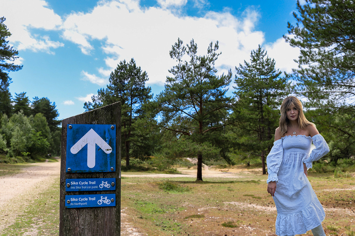 IMAGE: https://i.postimg.cc/SQ6rgF7M/Sika-Cycle-Trail-sign-Wareham-Forest-copy.jpg