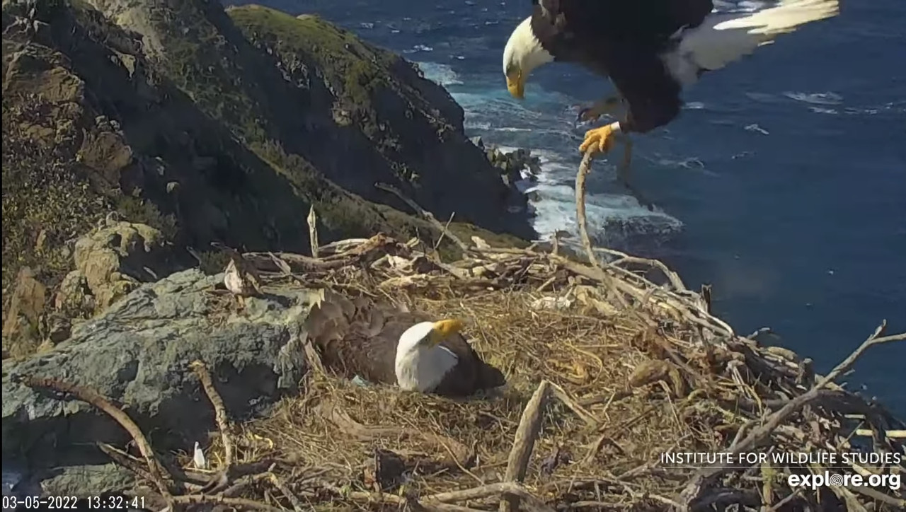 EAF5FDDC-835C-492E-BA13-40D9FEEAAA3C