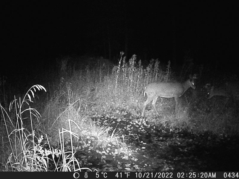 257C309D-2874-4A06-AF97-1F0F61376D58