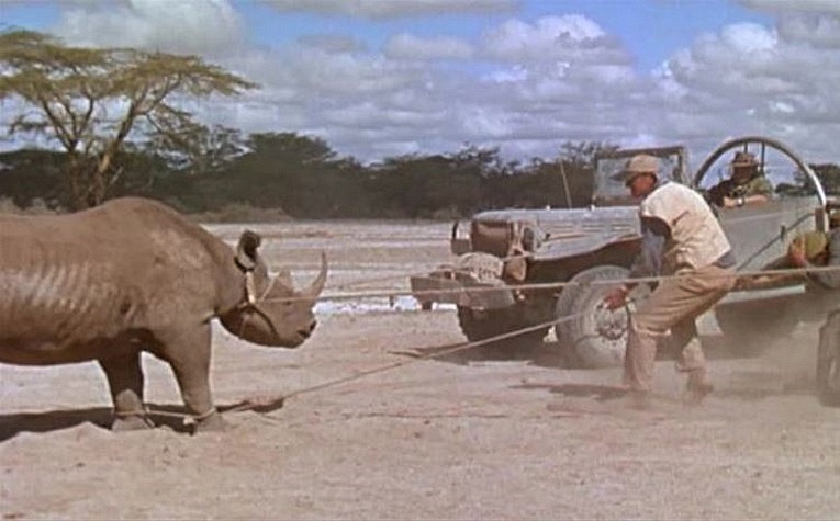 JURASSIC-PARK-HATARI-2-A-FOTOR.jpg