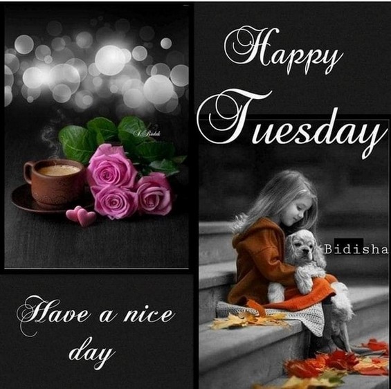 TUESDAY-mardi-38