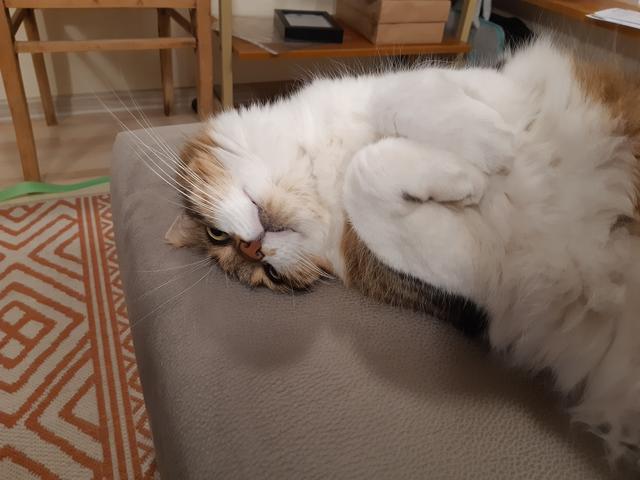 20191123-221105.jpg