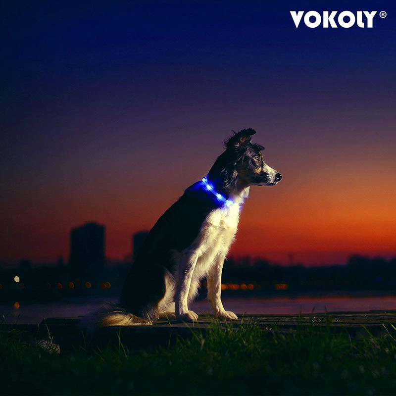 61hHOtpoIML._SL1200_