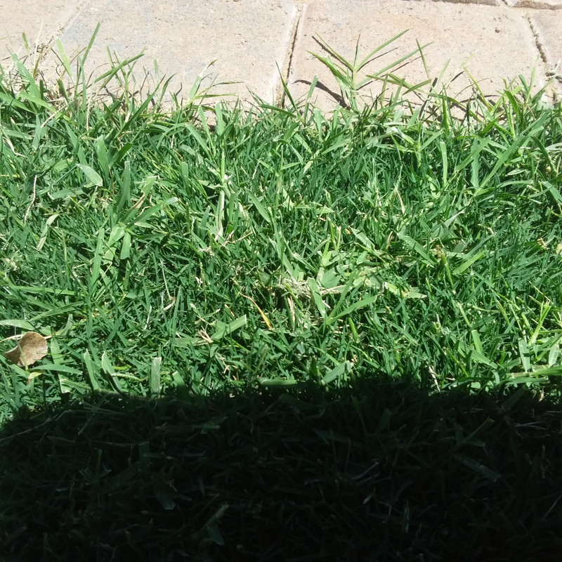 1589573656656317083085