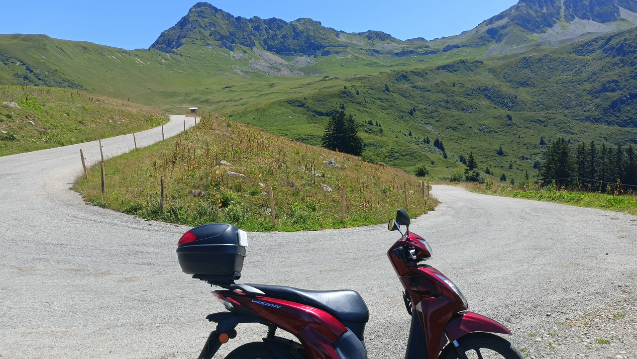 IMG20250718130250 (Large)