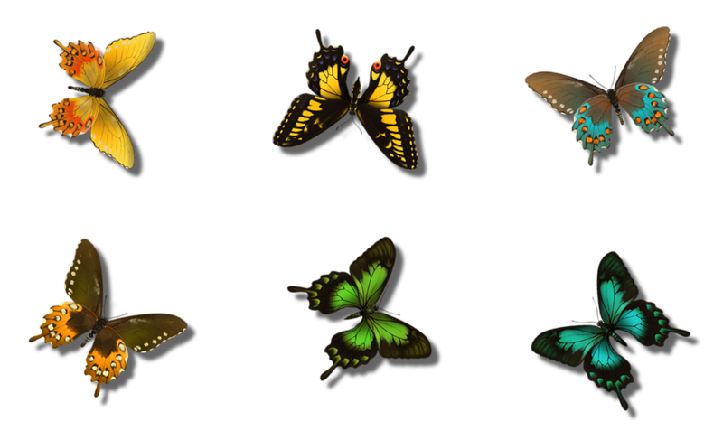 0_1c0c74_31658d46_orig