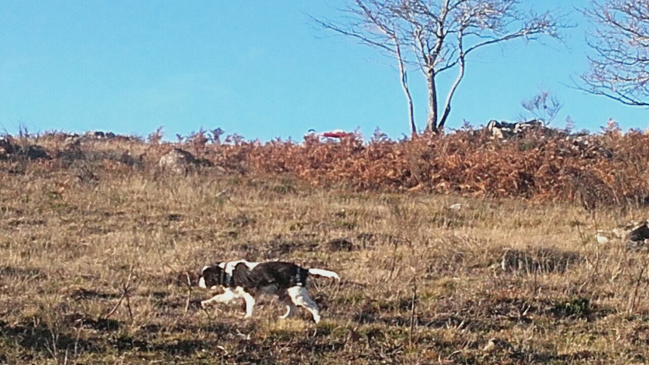 873C919F-B6E4-473F-ABA4-E797BE654B31