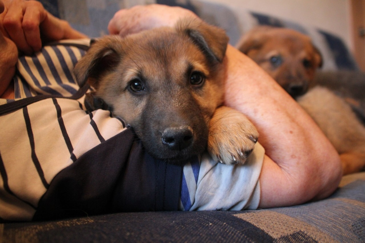 D77DCA76-C61C-4B14-91EB-F6A7F2BE8A6A