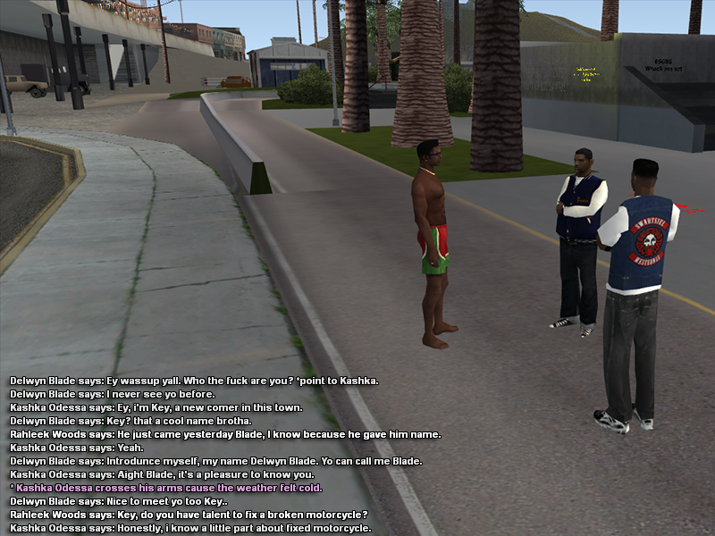 samp-05-06-2023-08-46-51.png