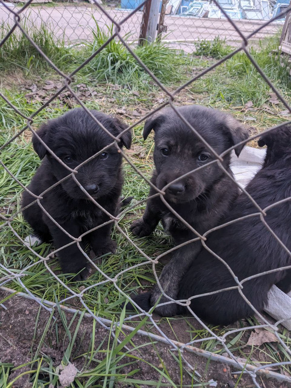 photo_2024-04-23_22-47-42 (2)