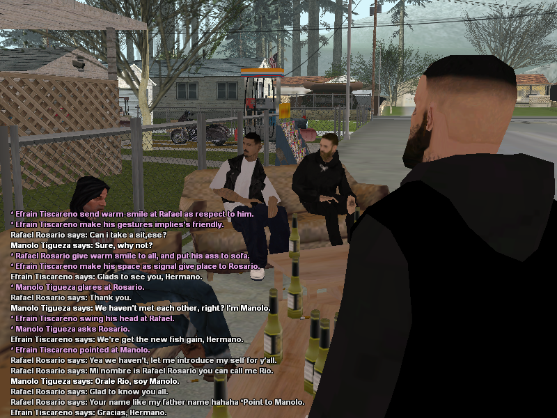 ss12.png