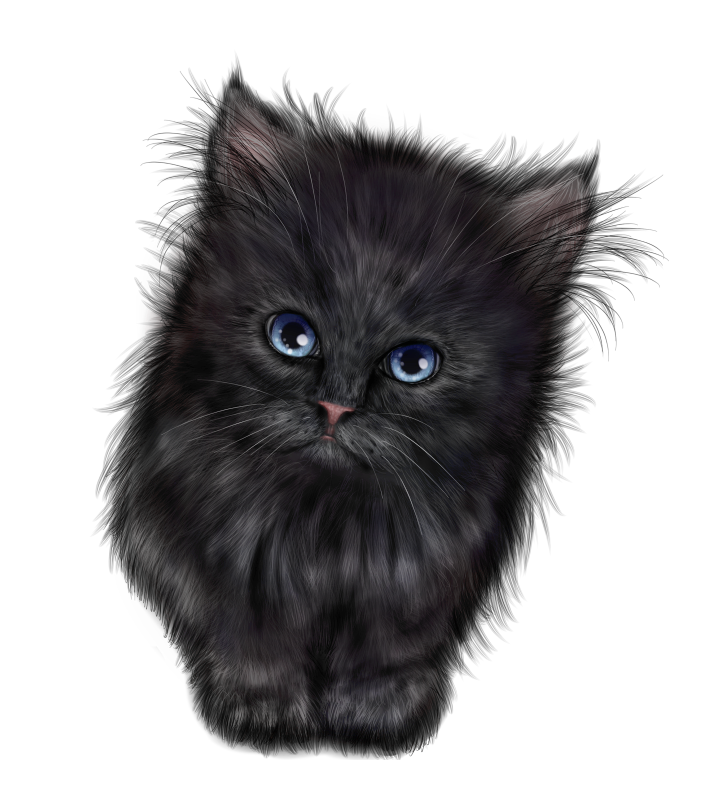 Halloweenpumpkinkitcat2