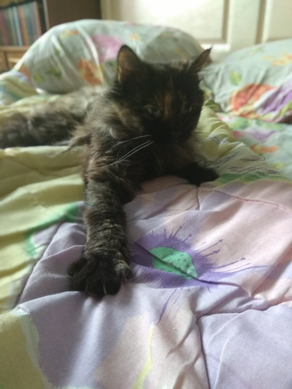 30D90B36-5485-49ED-BDC3-FF330D12731B