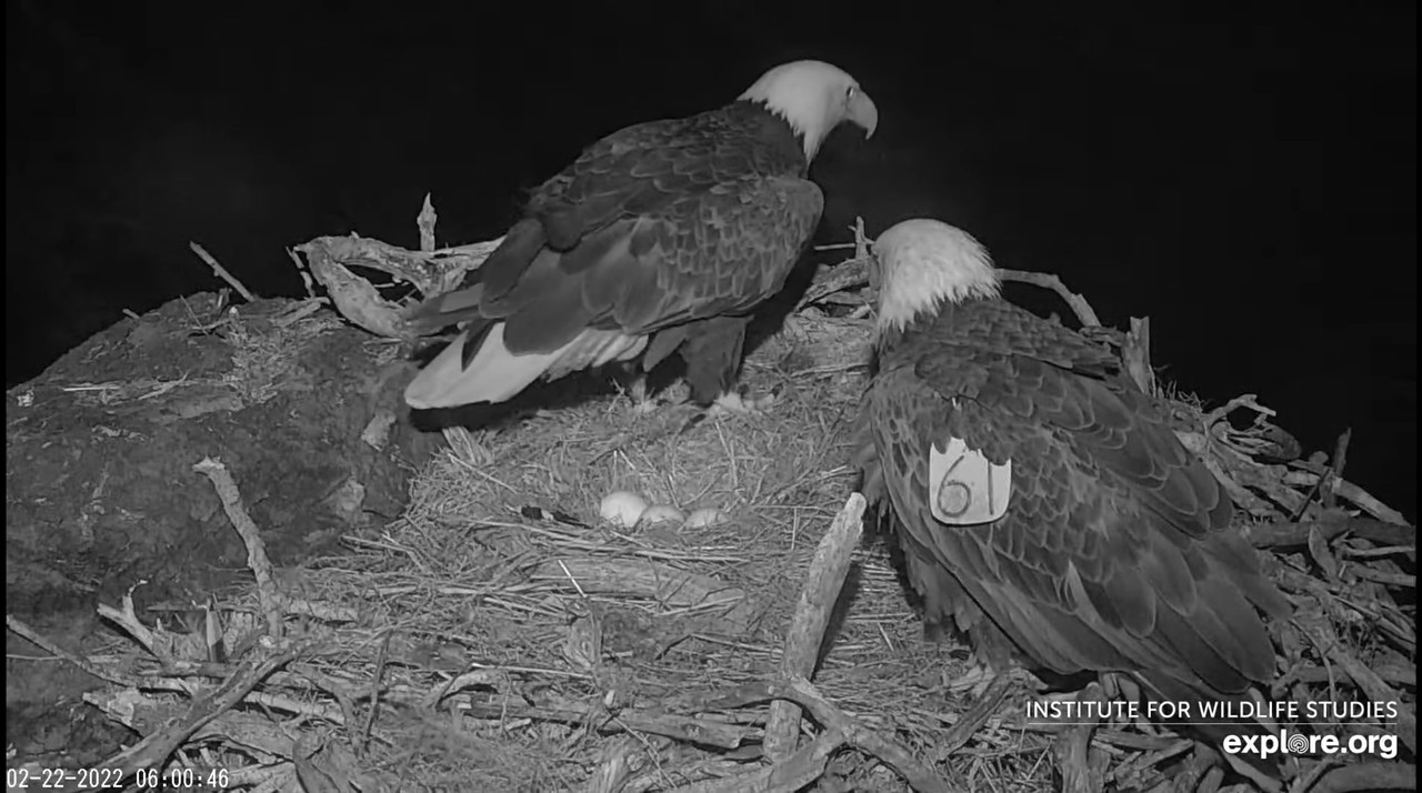 74524716-4C25-42D1-B5BE-2F889C2A474D