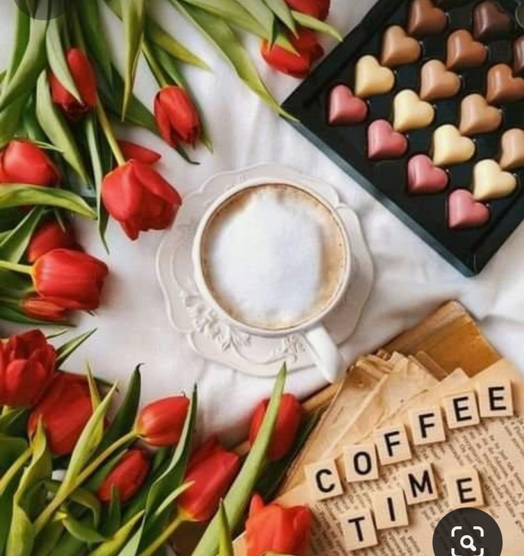 Screenshot_20240203_213540_Pinterest