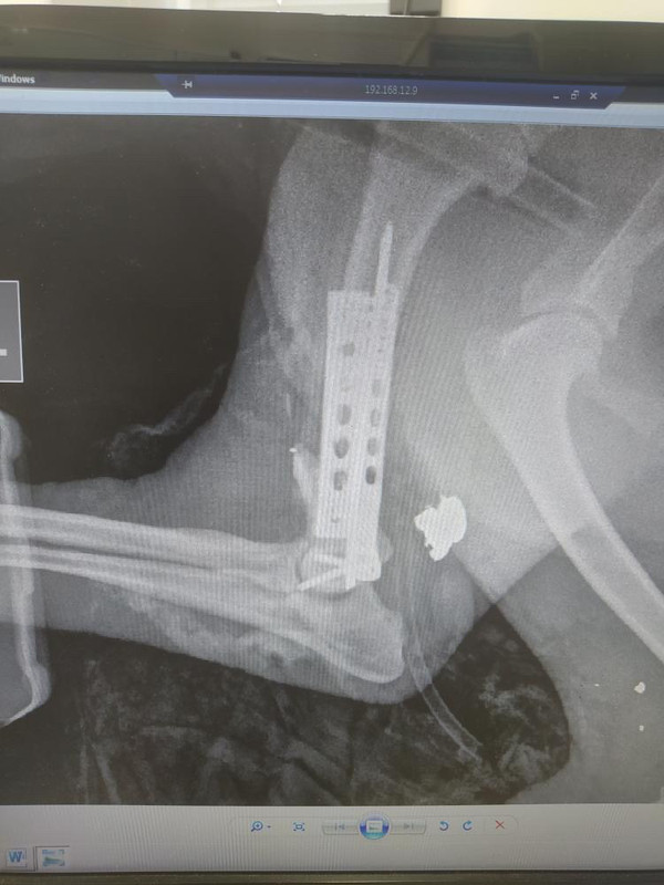 B0640452-EFBE-4275-A010-519356FF9304